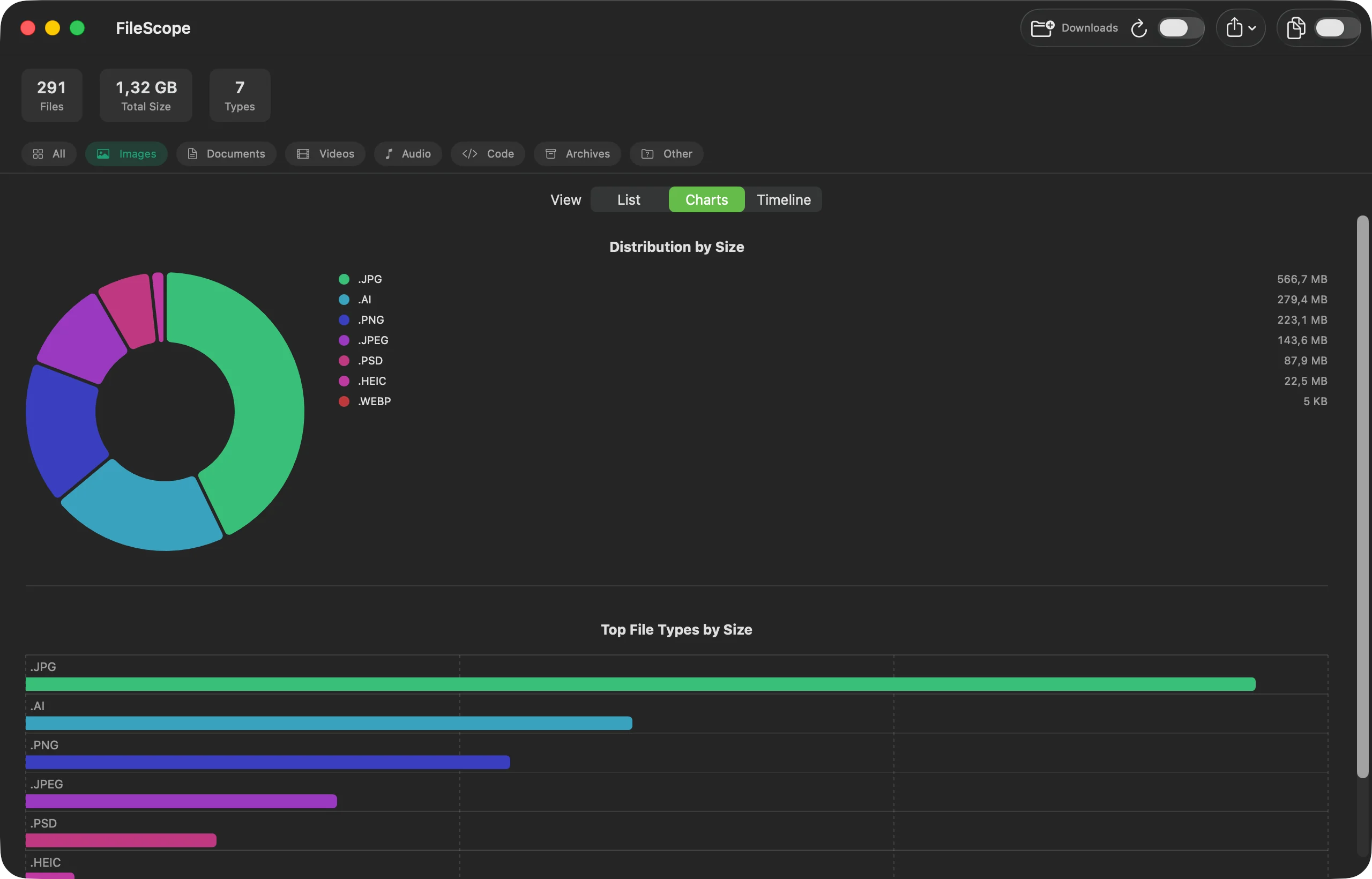 The Charts tab with the Images category selected: a donut chart of size distribution across seven image formats plus a bar chart of the largest types.